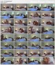 Jessica Jaymes (Jessica Raw Tape / 2016) 1080p Jessica Jaymes (Jessica Raw Tape / 2016) 1080p